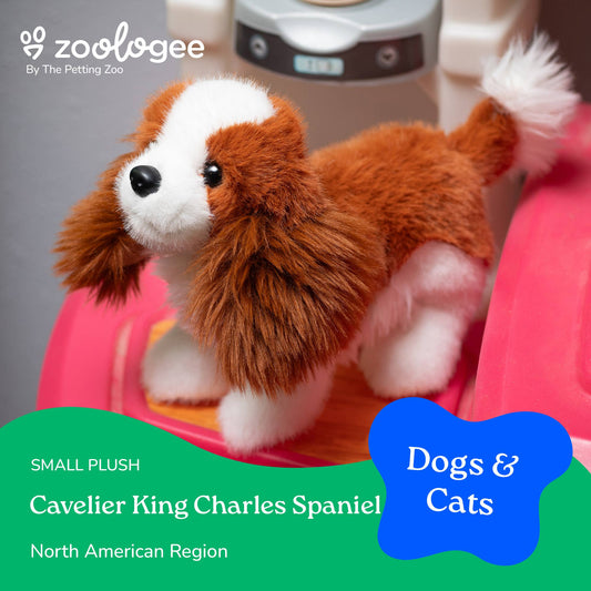 8" Cavelier King Charles Spaniel Dog Stuffed Animal