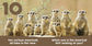 Baby Animals First Box Set