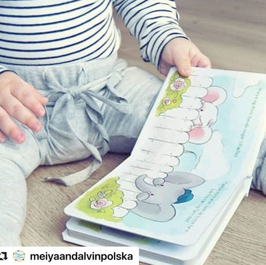 Meiya & Alvin's New Friends Book