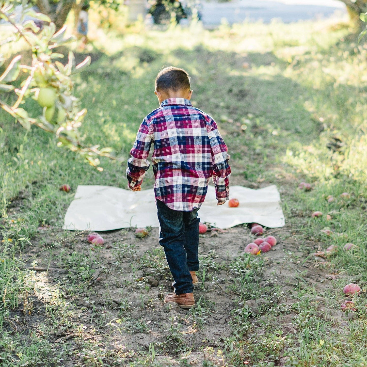 Berry Tartan Brushed Flannel Organic Button Down Shirt