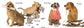 Dog by Matthew Van Fleet Board Book