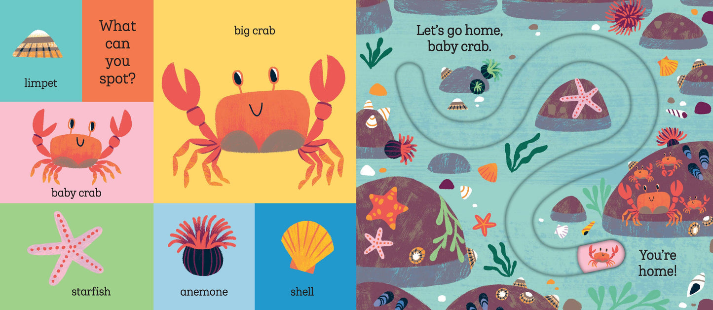 Let's Go Home, Baby Shark Board Book