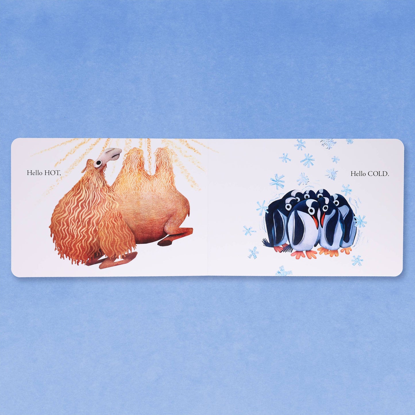 Hello Hello Opposites Board Book