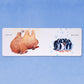 Hello Hello Opposites Board Book