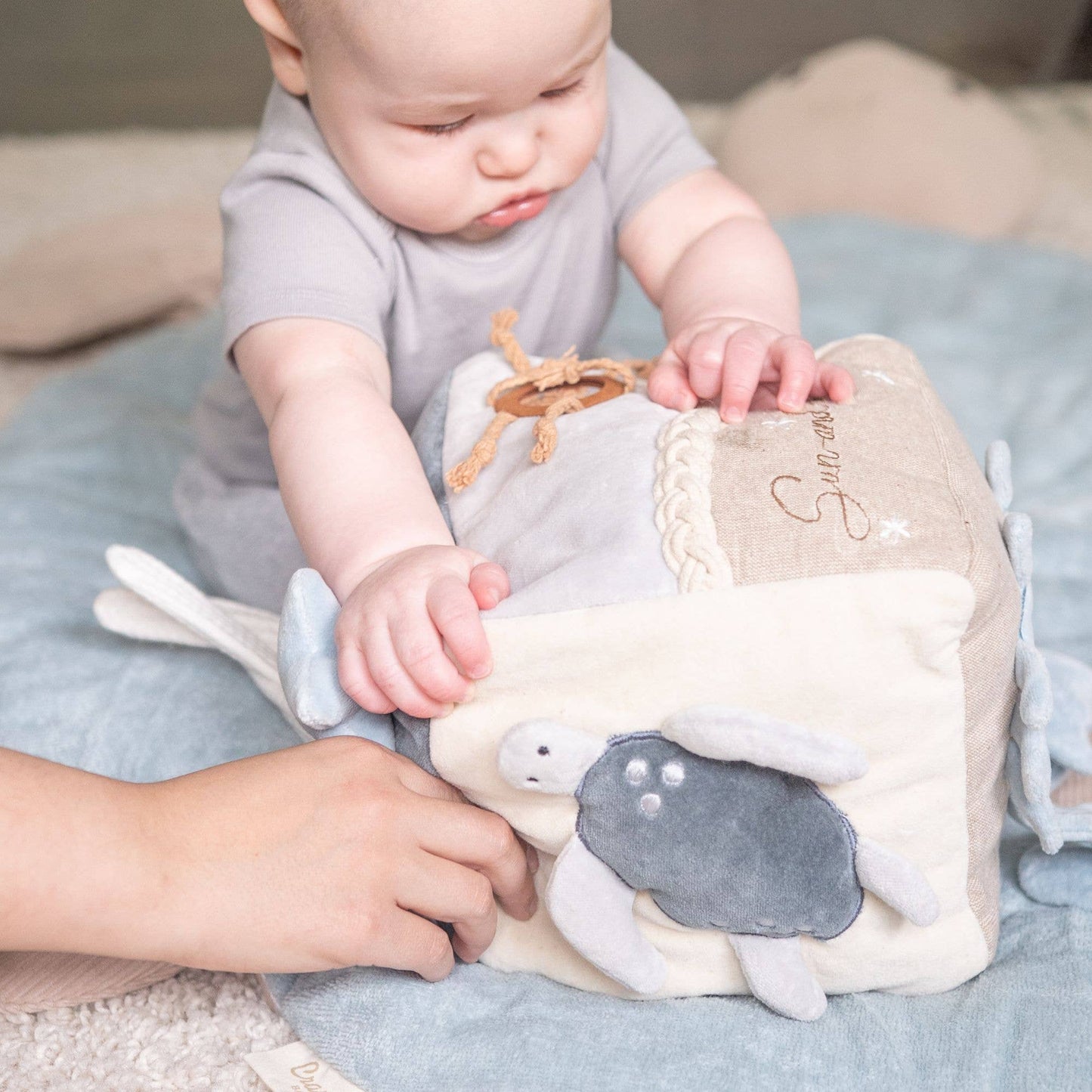 Cove Ocean Soft Activity Toy