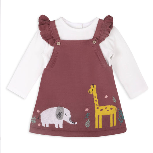 Organic Safari Knit Dress & Bodysuit Set