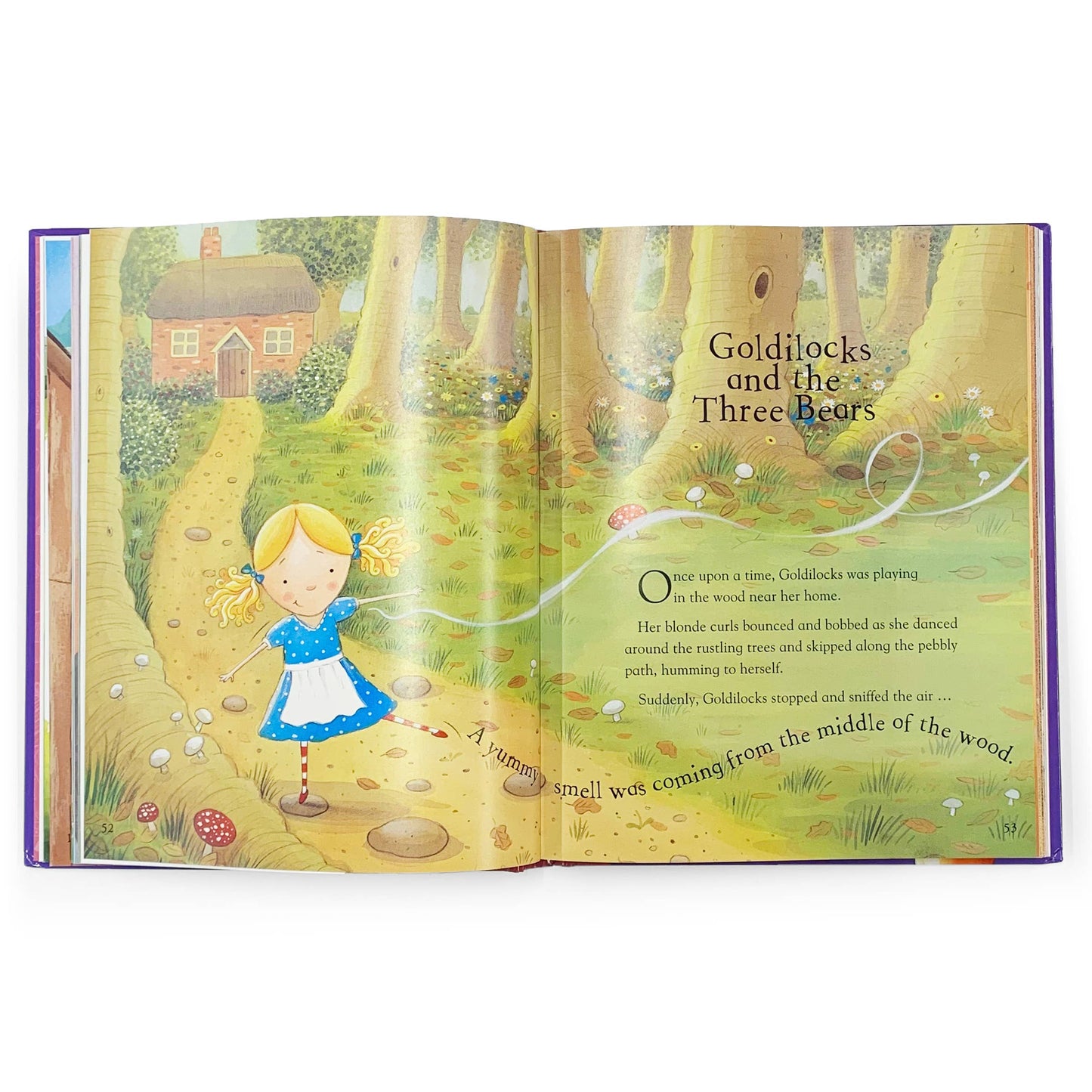 Fairy Tales Treasury – Collection of Classic Stories Book