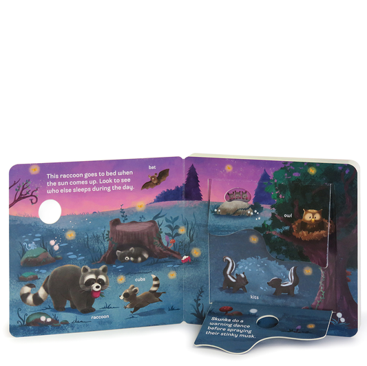 Who! Peek a Flap Board Book