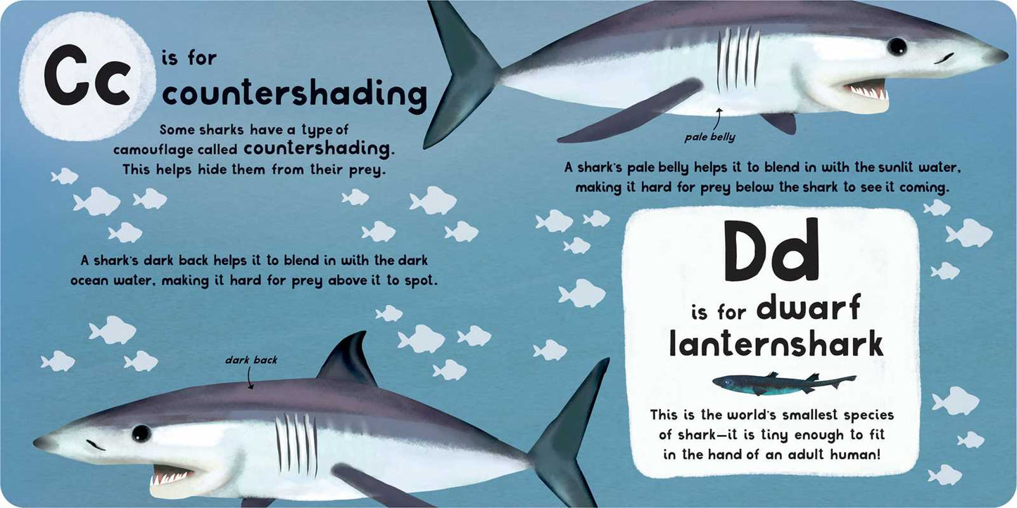 A-Z of Sharks Board Book