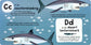 A-Z of Sharks Board Book