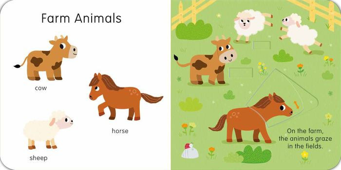 Slide And See Animals Board Book