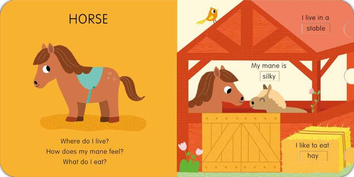 Slide And See Animals Board Book