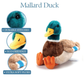 12" Wild Onez Mallard Duck Stuffed Animal