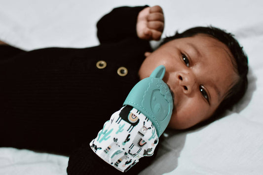 Highland Cow Teething Mitt