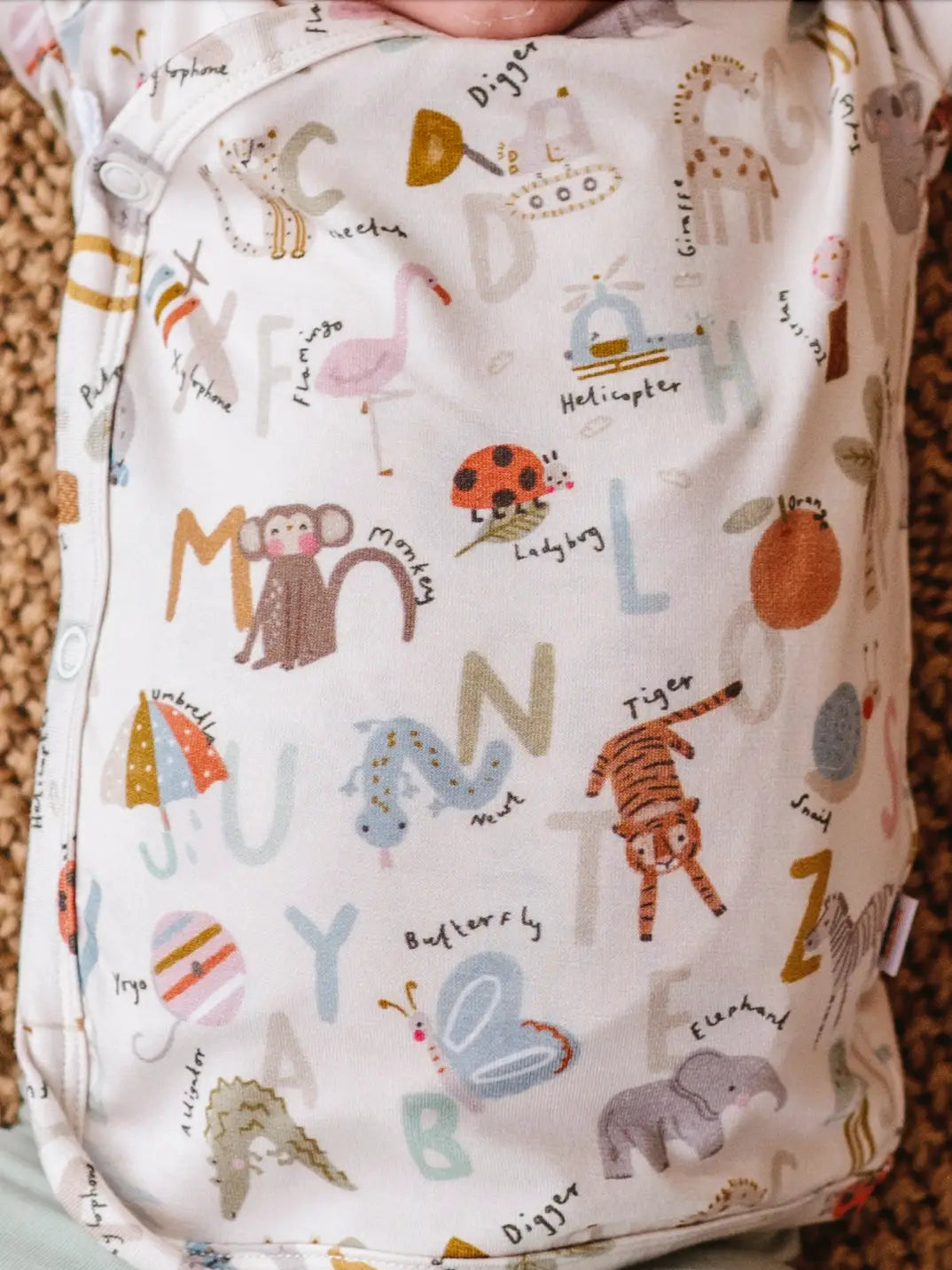 Animal ABC Bamboo Take Me Home Shirt/Pant Set