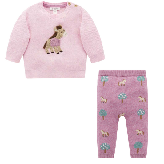 Organic Horse Sweater and Legging Set