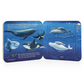 Ocean Lift-a-Flap Board Book