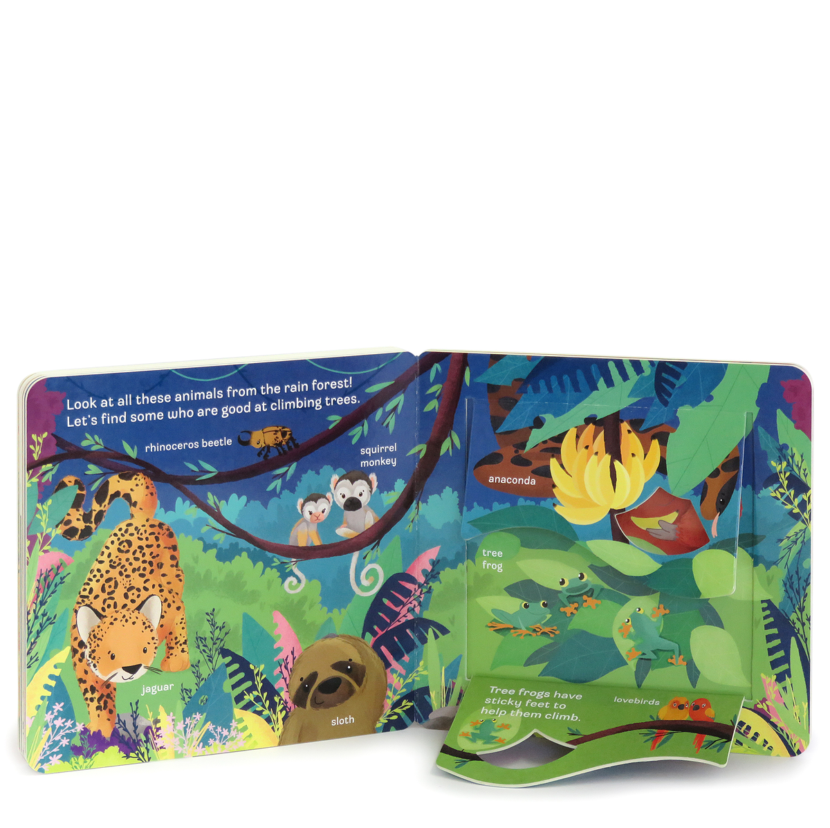 Zoo Peek-a-Flap Board Book