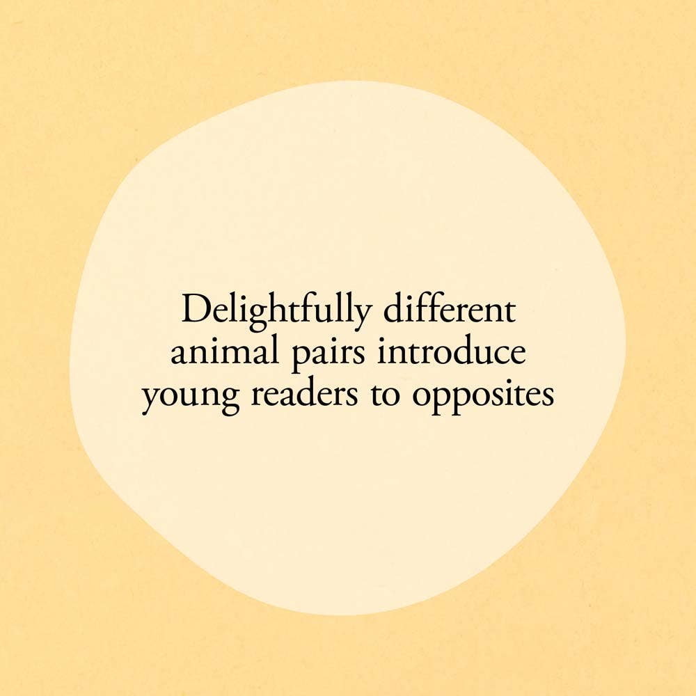 Hello Hello Opposites Board Book