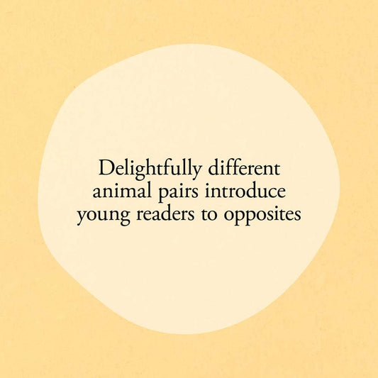 Hello Hello Opposites Board Book