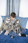 20" Wild Onez Sloth Stuffed Animal