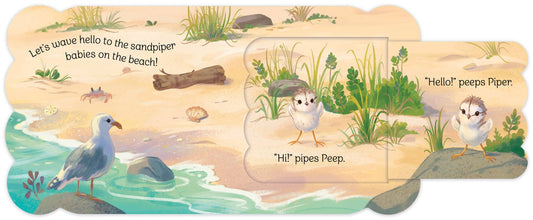 Babies on the Beach Lift-a-Flap Board Book
