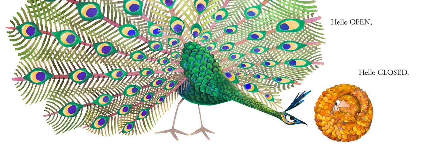 Hello Hello Opposites Board Book