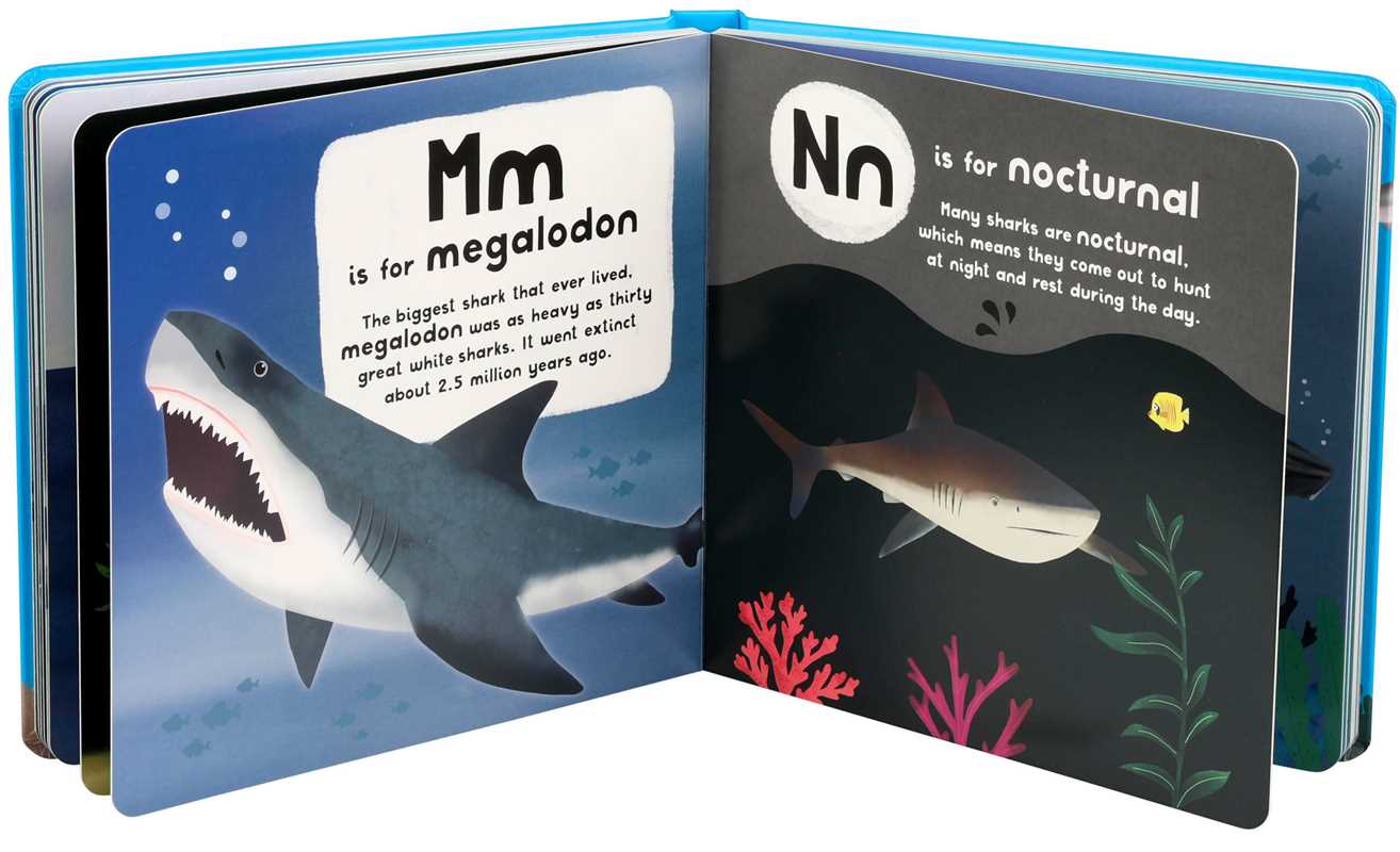 A-Z of Sharks Board Book