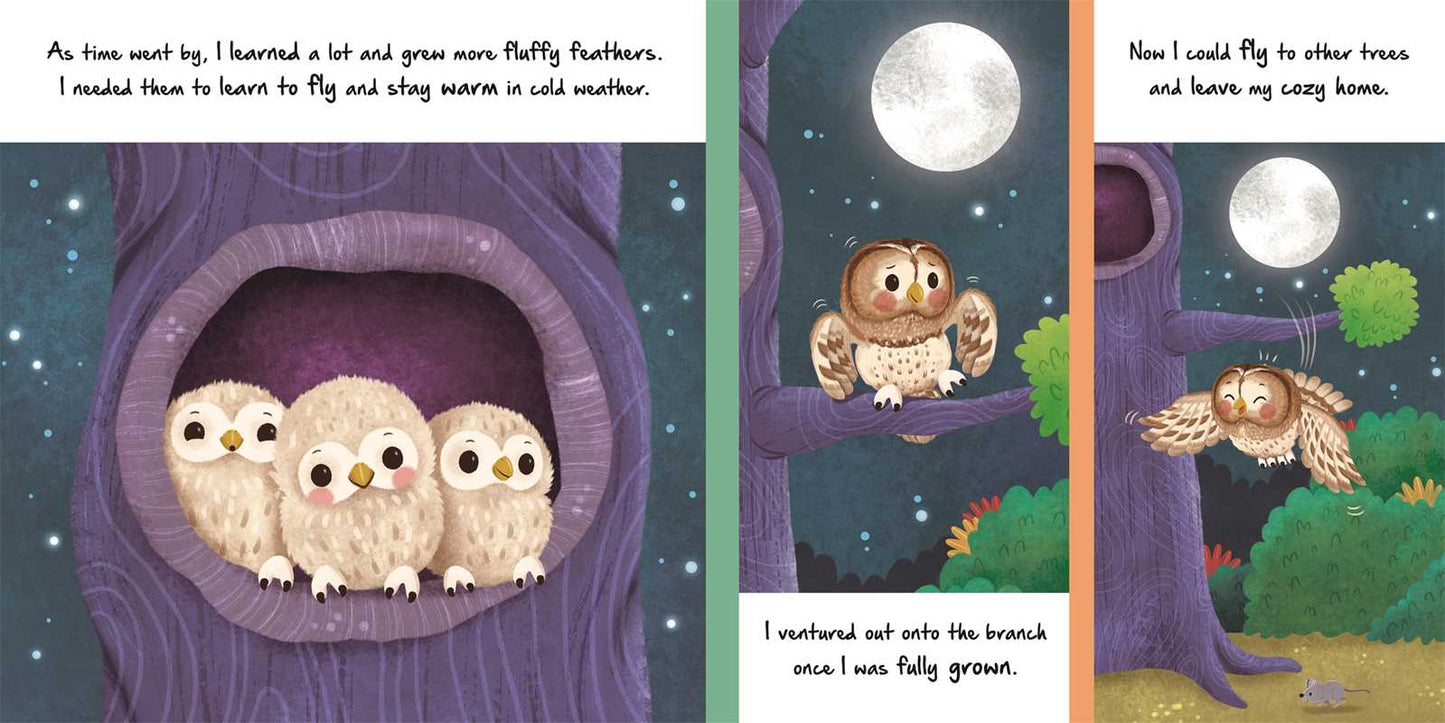Nature Stories: Little Owl Board Book