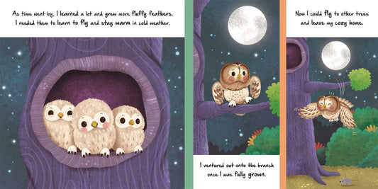 Nature Stories: Little Owl Board Book