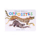 Hello Hello Opposites Board Book