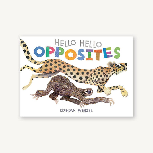 Hello Hello Opposites Board Book