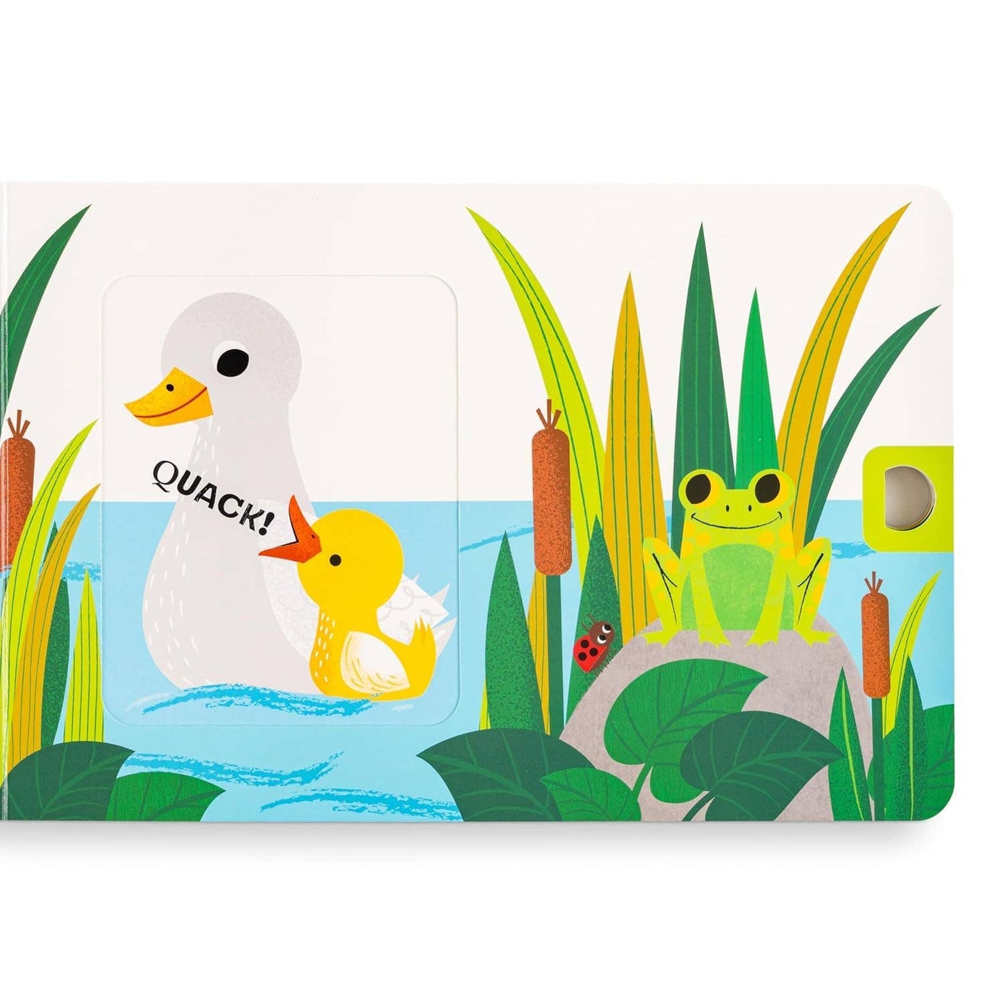 Squeak! Interactive Board Book