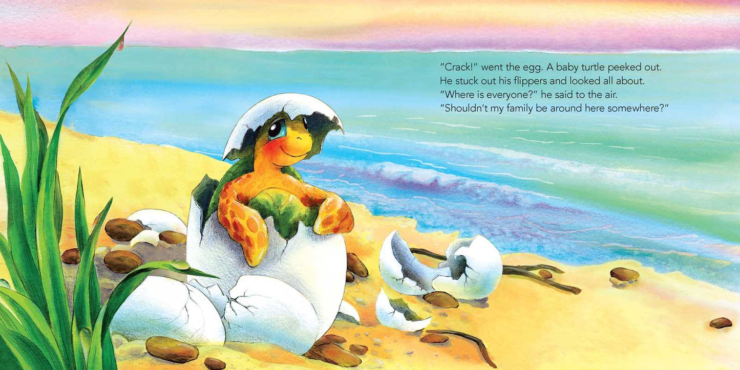 Baby Turtle's Tale Board Book