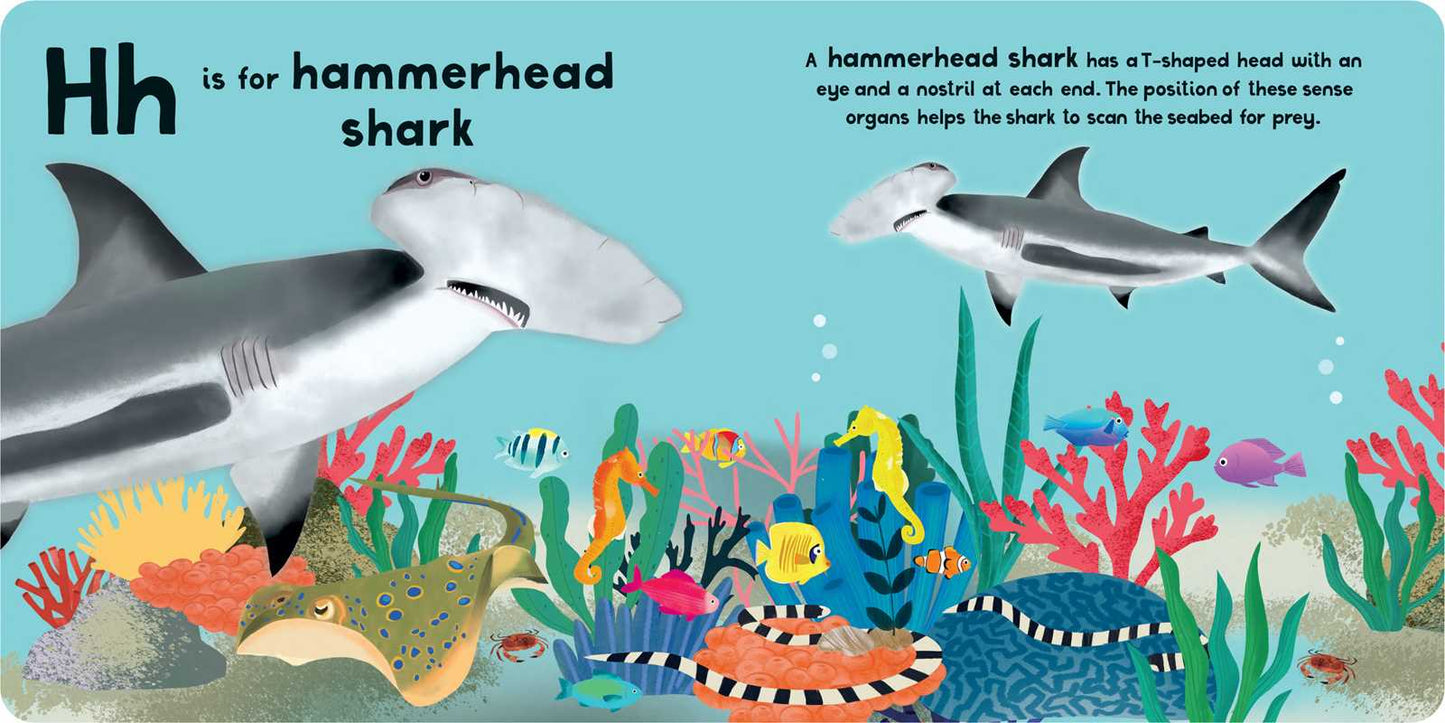 A-Z of Sharks Board Book