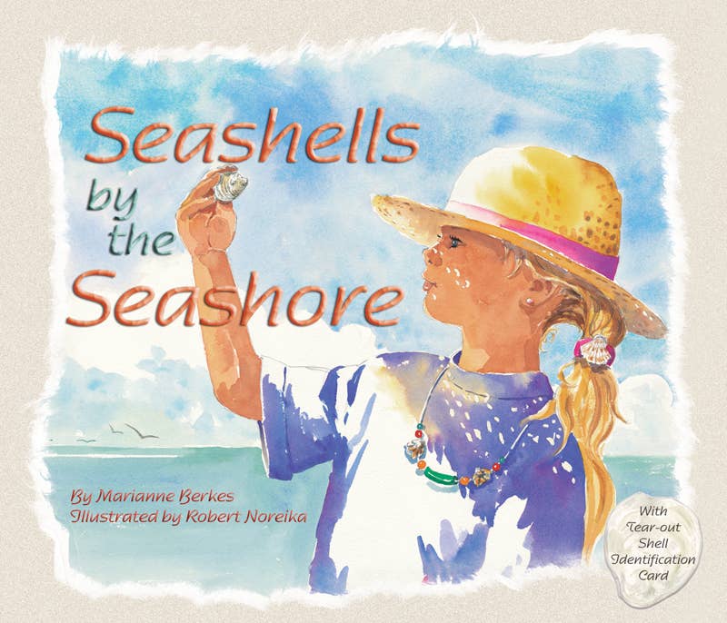 Seashells by the Seashore Board Book