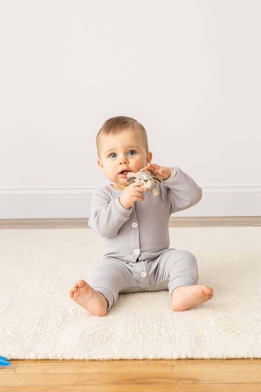 Puppy Ritzy Teether