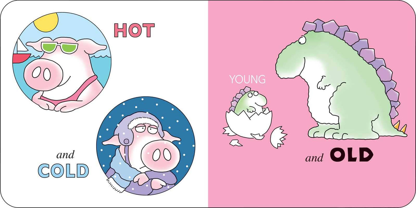 Opposites by Sandra Boynton Board Book