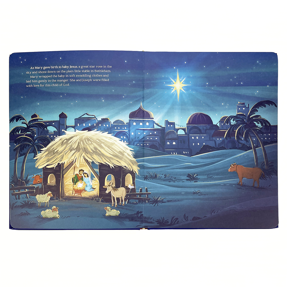 The First Christmas Board Book