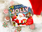 Jolly Peek-a-Flap Board Book