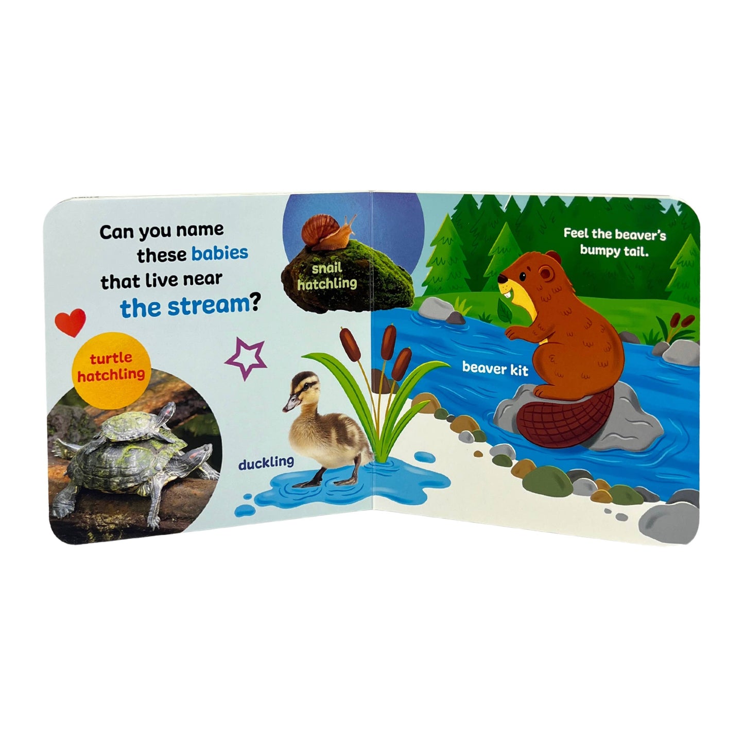 Touch & Feel Forest Babies Interactive Book