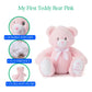 12" My First Teddy Bear Stuffed Animal - Pink