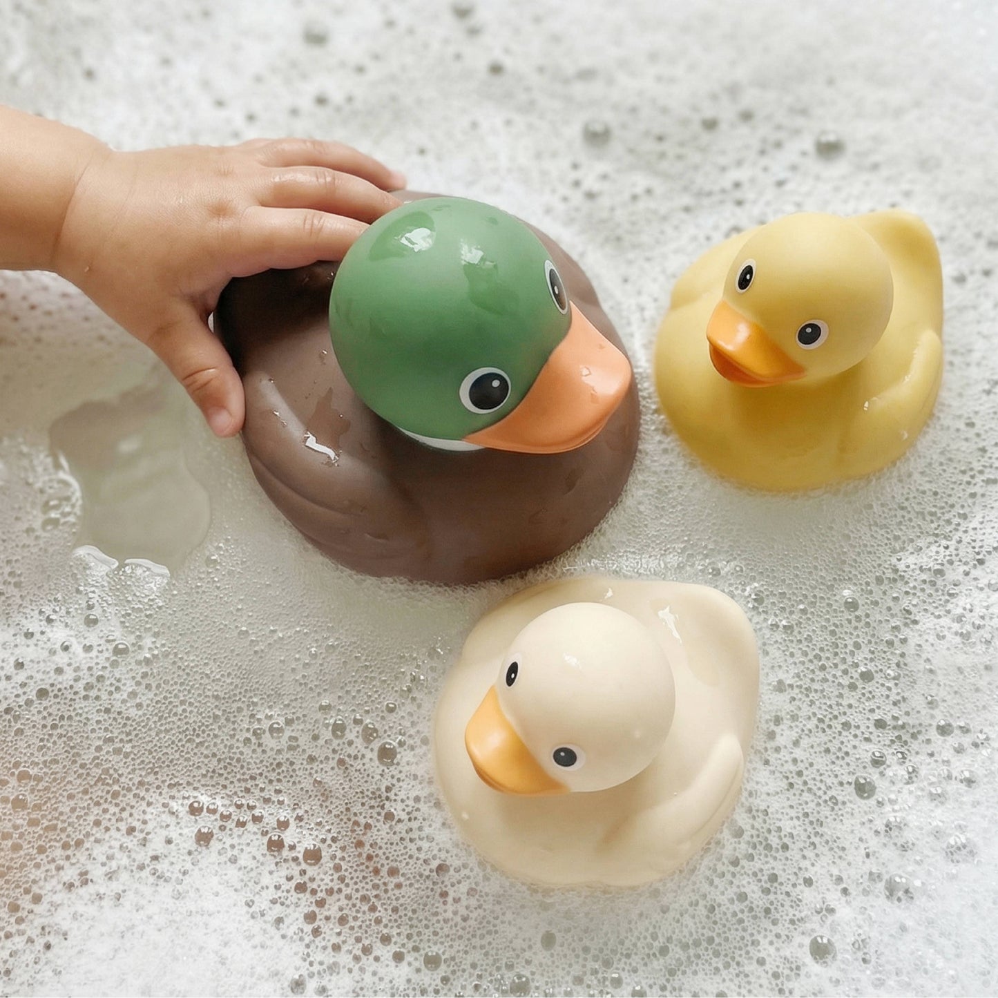 Itzy Ducky Family™ - Mallard