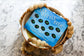 Ten Little Fish Board Book