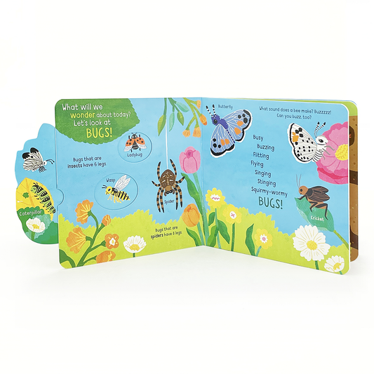 Little Wonders: Bugs Board Book
