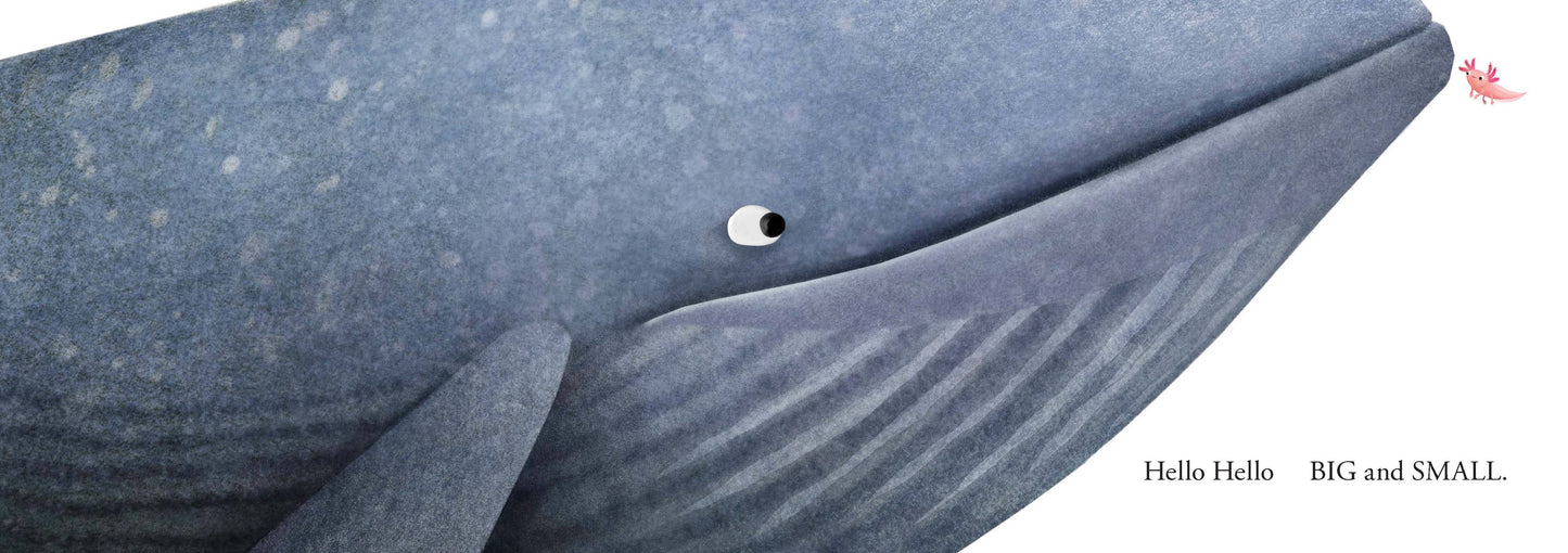 Hello Hello Opposites Board Book