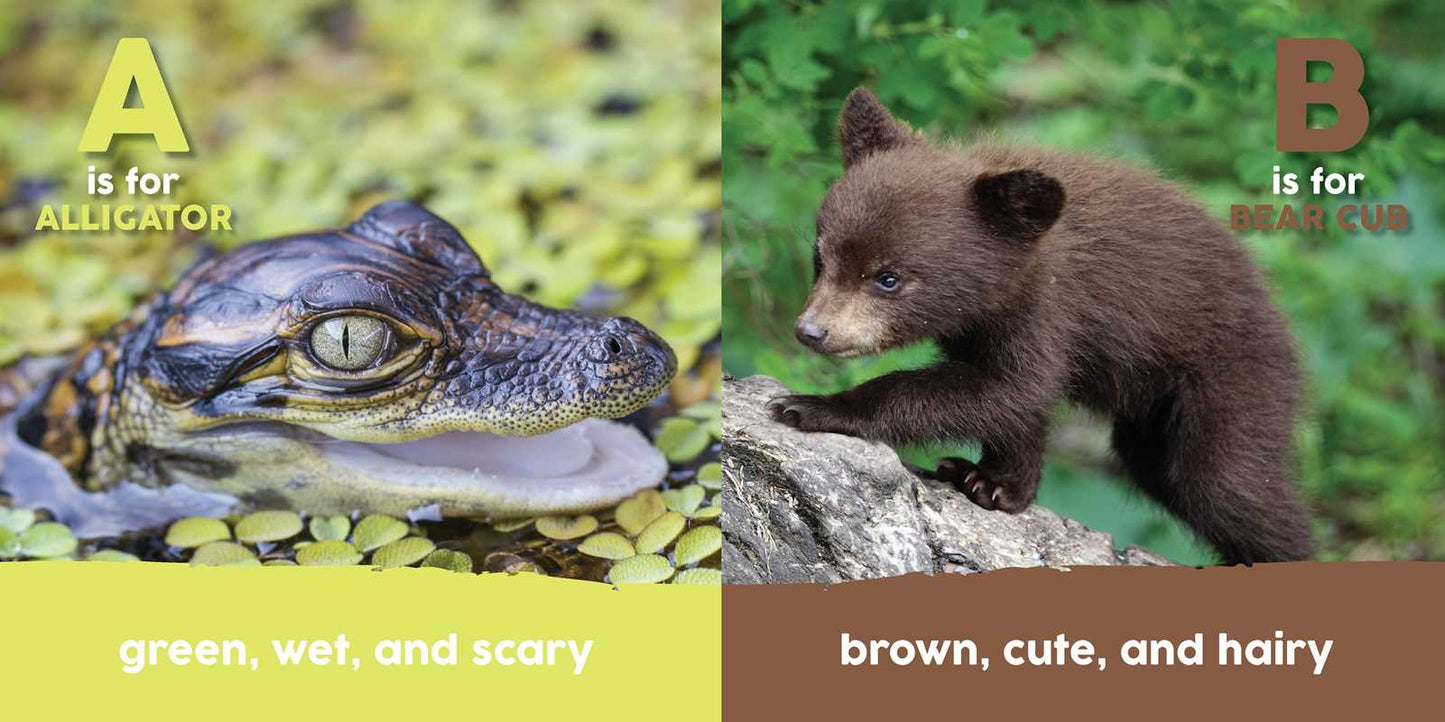 Baby Animals First Box Set