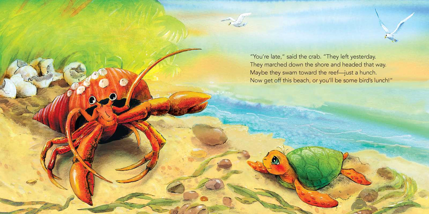 Baby Turtle's Tale Board Book