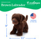 11" Chocolate Lab Dog Stuffed Animal