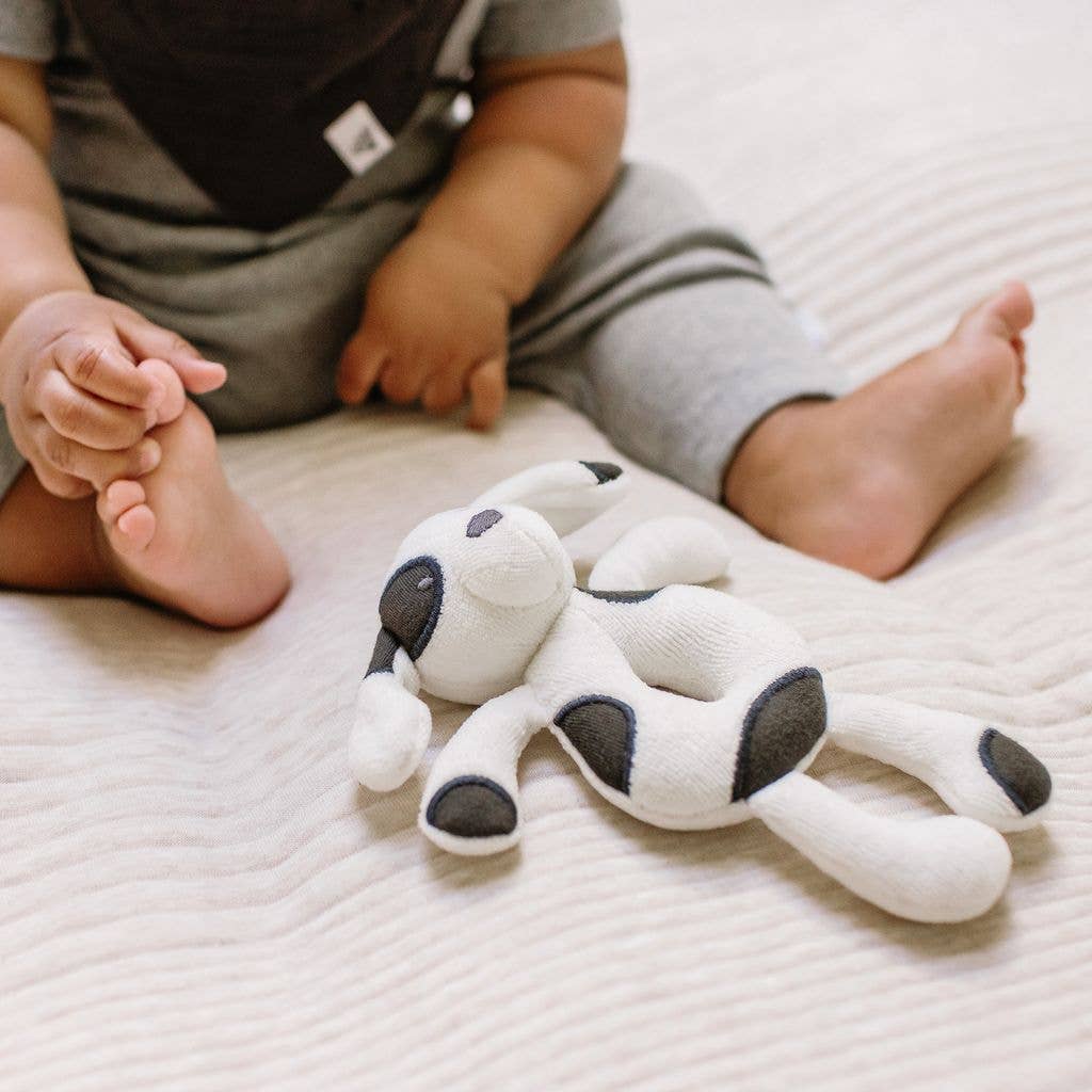 Dog Organic Rattle